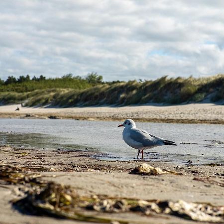 Bickbeeren Fewo Bickbeeren Barbara Whg 5 Dierhagen Eksteriør bilde